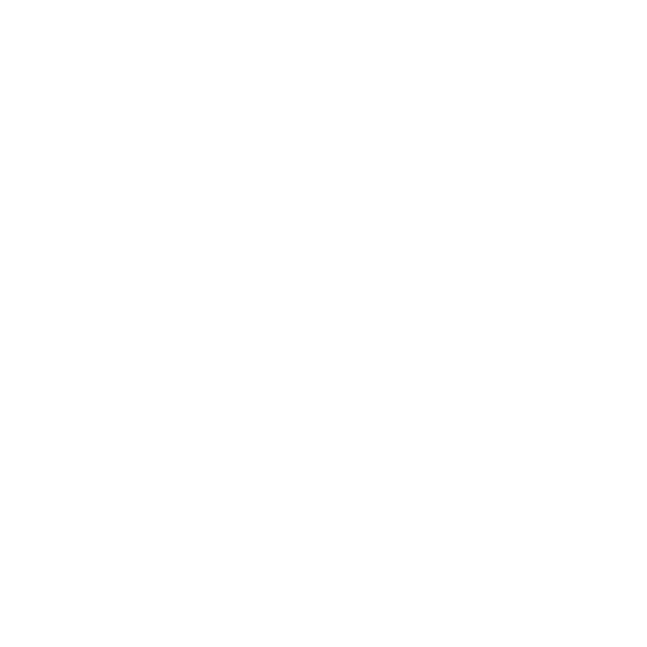 SOUNDING ARCHITECTURE logo
